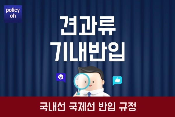 견과류 기내 반입 가능 여부(국내선 국제선 항공사별 국가별 반입 규정)
